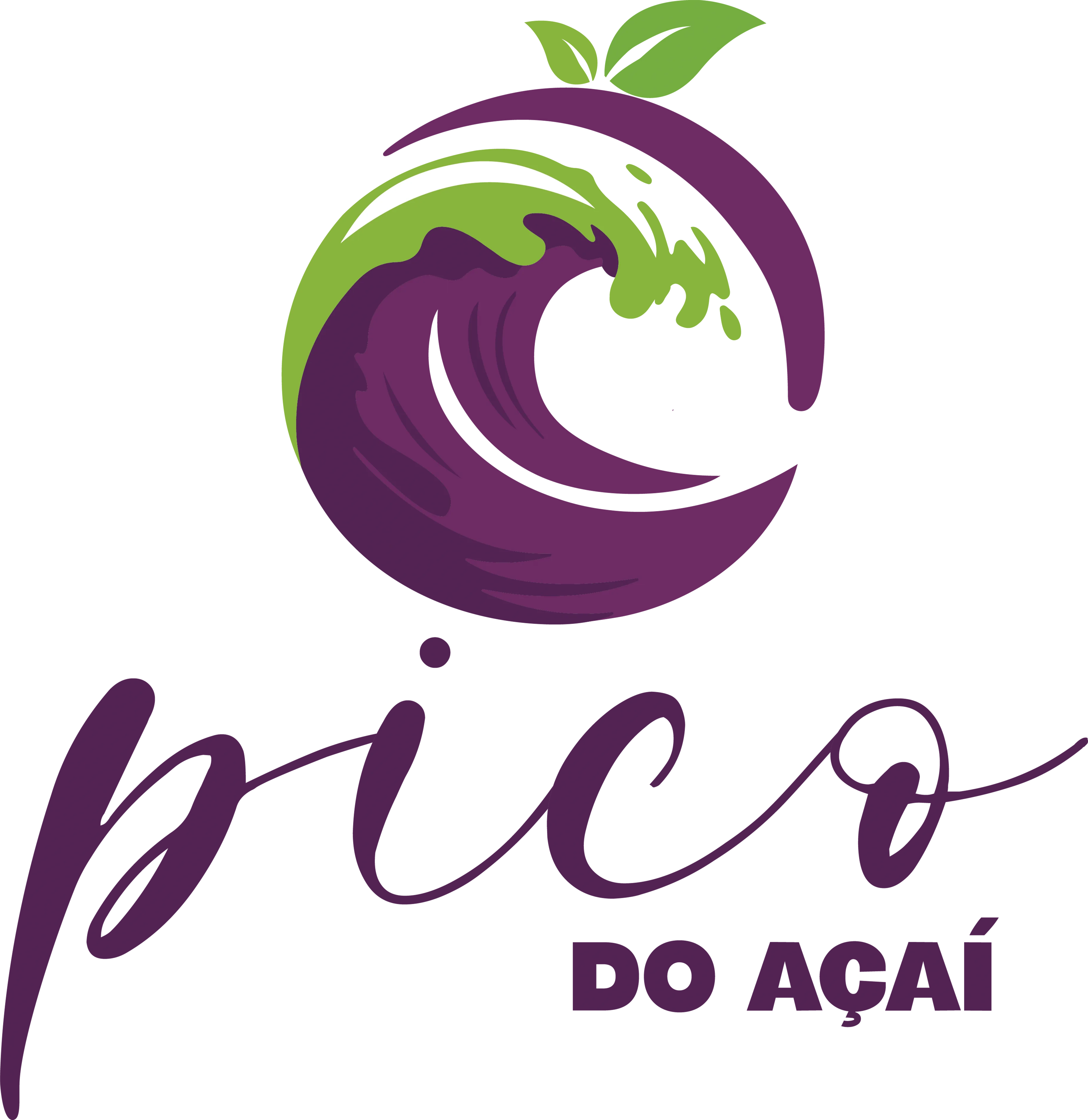Pico do Açaí